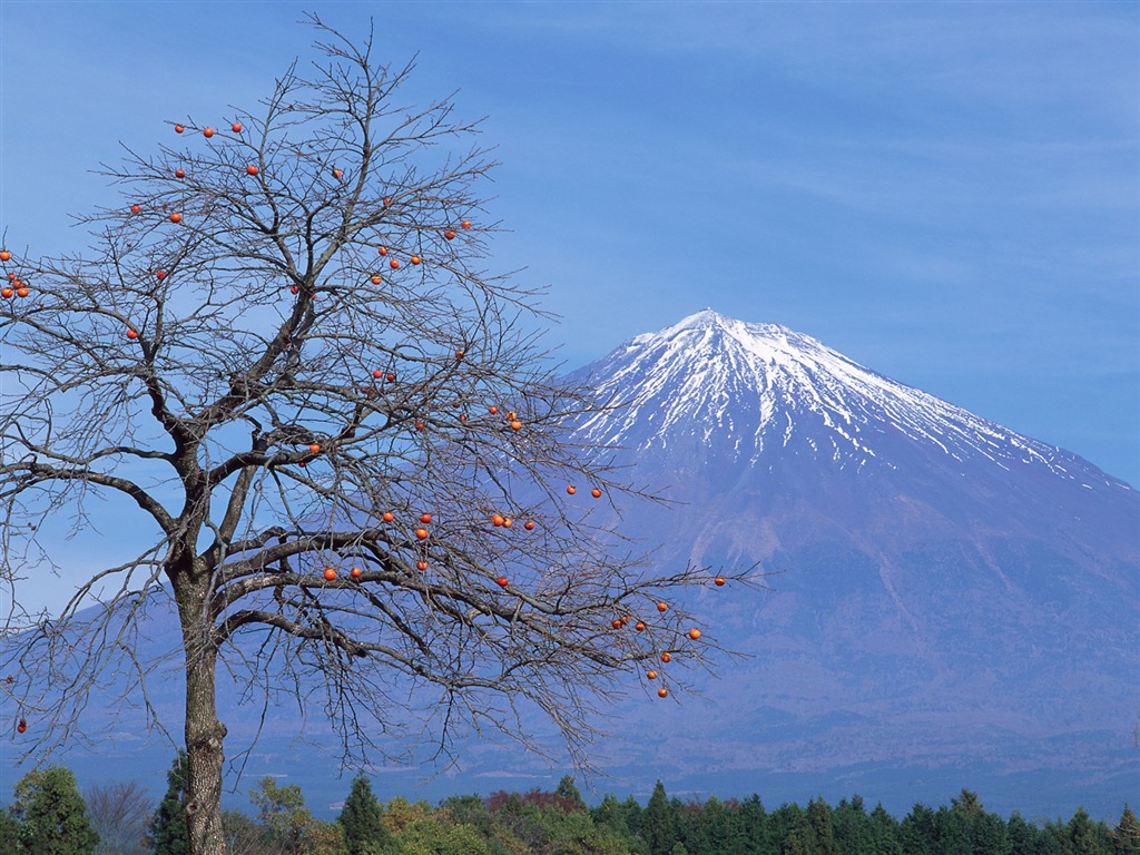 富士山风光壁纸专辑26 - 1024x768