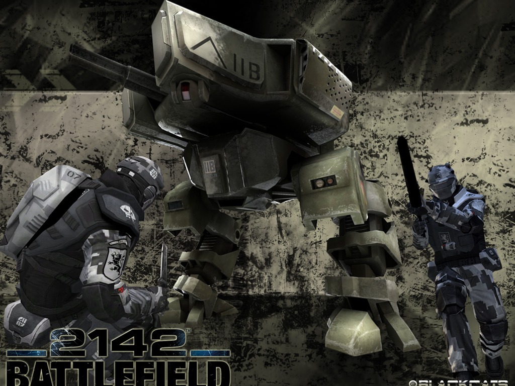 Battlefield 2142 戰地2142壁紙(二) #9 - 1024x768