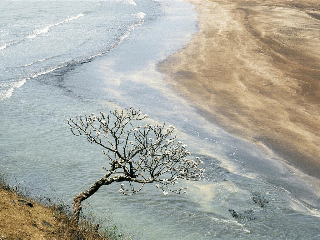 四季風景風光壁紙(一) #13 - 1024x768