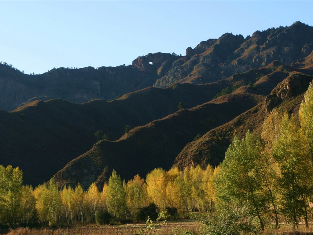 Paddock Saihanba (Minghu Metasequoia works) #3 - 1024x768