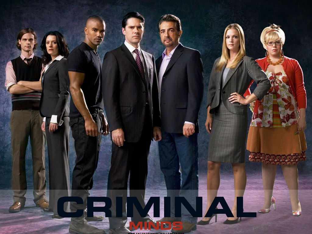 Criminal Minds wallpaper #3 - 1024x768