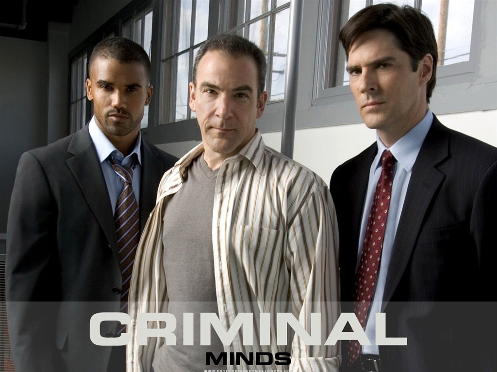 Criminal Minds wallpaper #5 - 1024x768