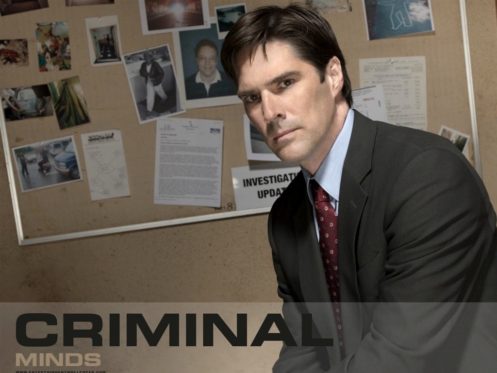 Criminal Minds wallpaper #6 - 1024x768