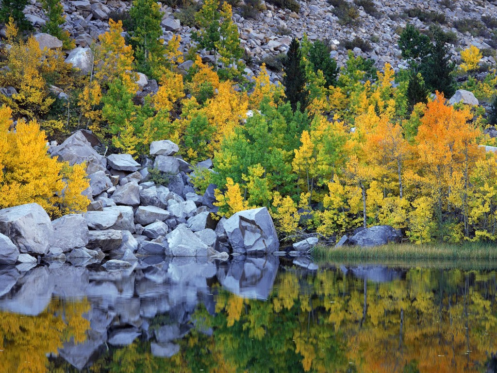 Four Seasons Landscape wallpaper (2) #11 - 1024x768