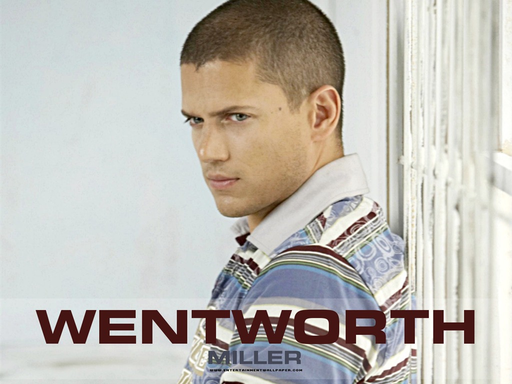 Wentworth Miller wallpaper #2 - 1024x768