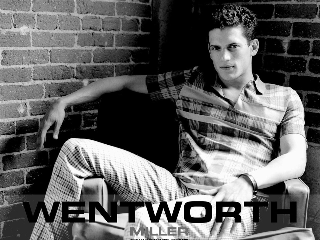 Wentworth Miller wallpaper #5 - 1024x768