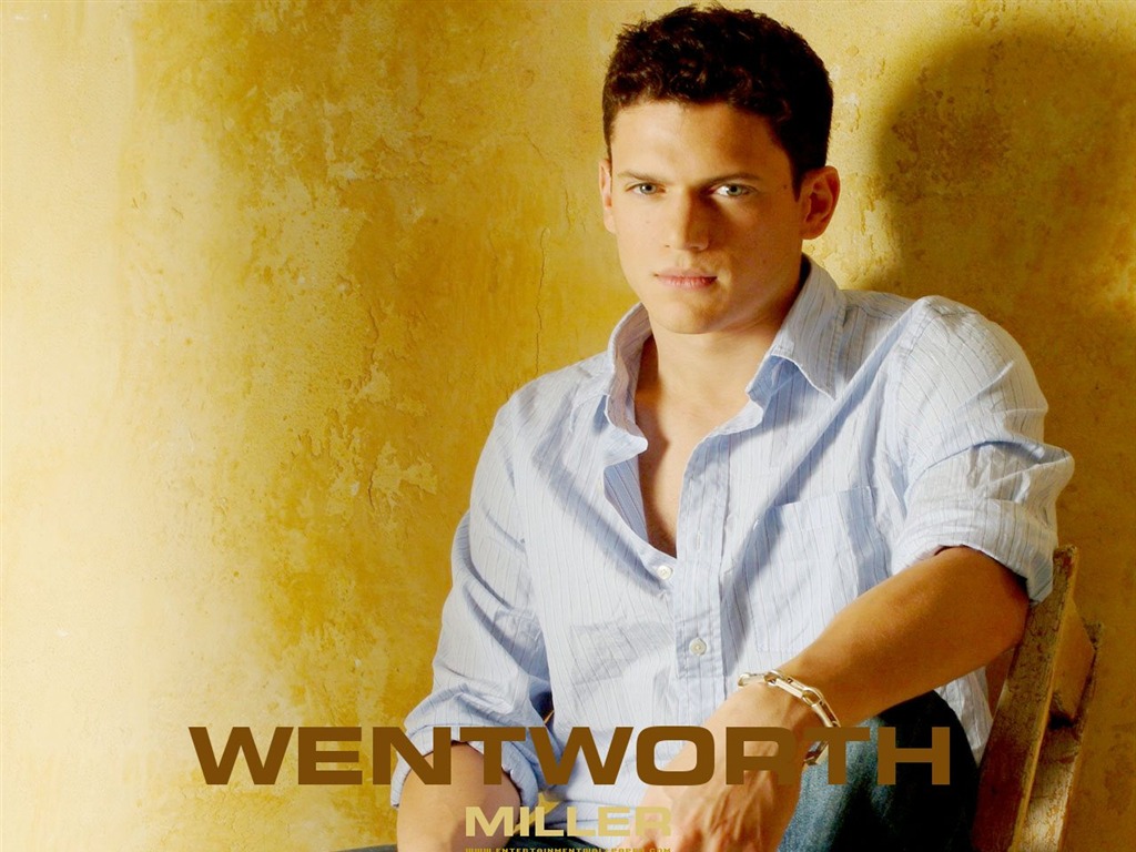 Wentworth Miller wallpaper #7 - 1024x768