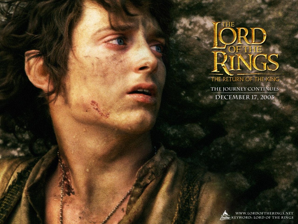 The Lord of the Rings wallpaper #18 - 1024x768