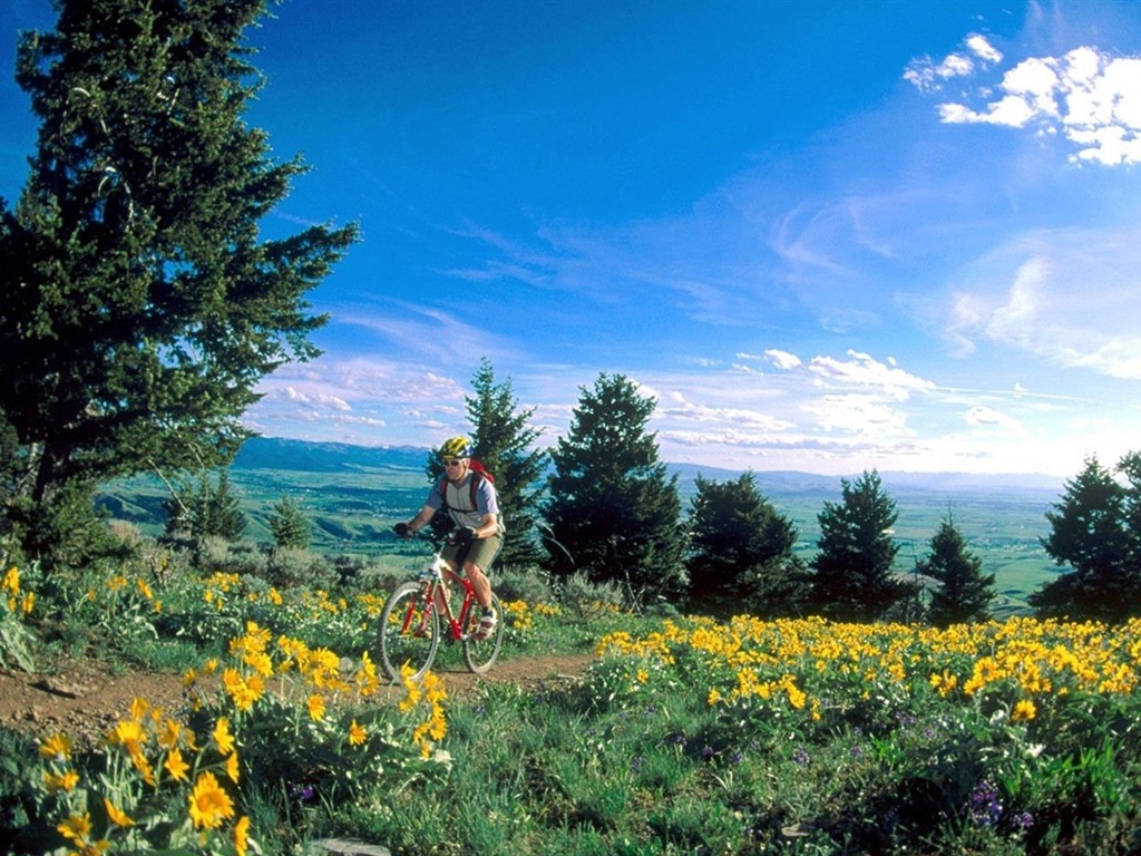 Fond d'écran de vélo de montagne #1 - 1024x768