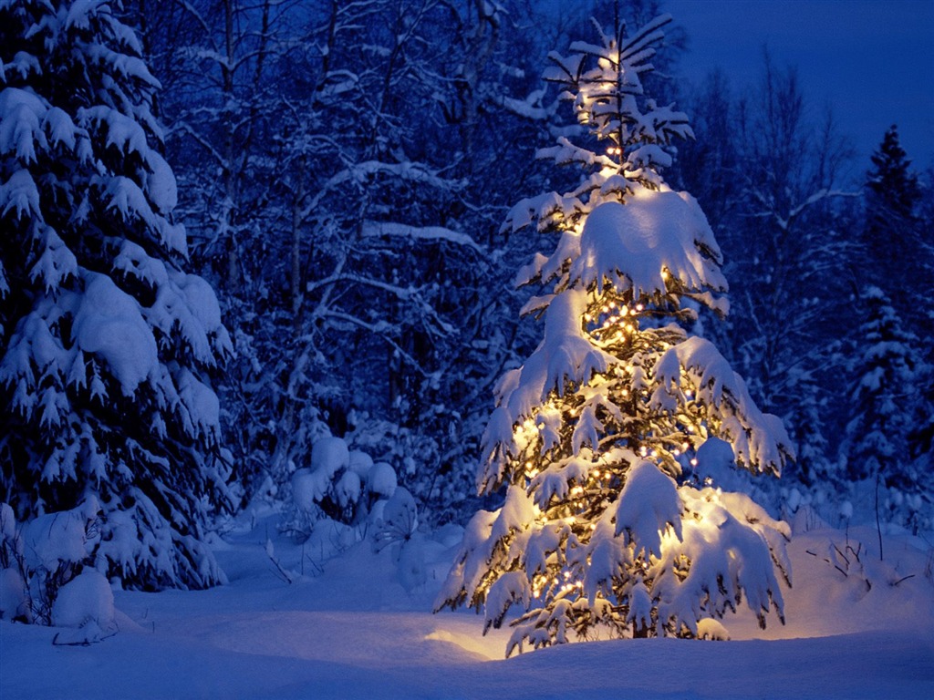 クリスマス造園シリーズの壁紙(3) #8 - 1024x768
