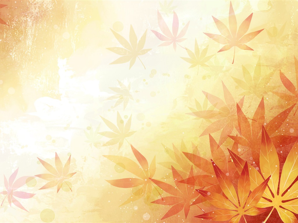 炫彩花卉合成壁紙 #19 - 1024x768