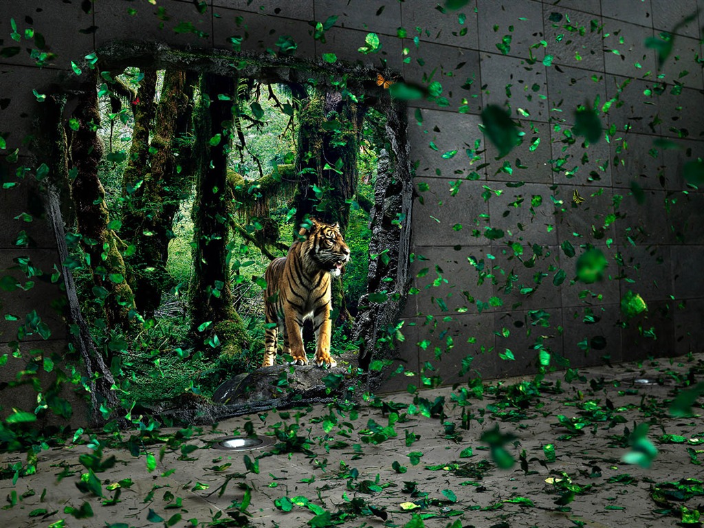 New Creative Design Wallpaper #9 - 1024x768