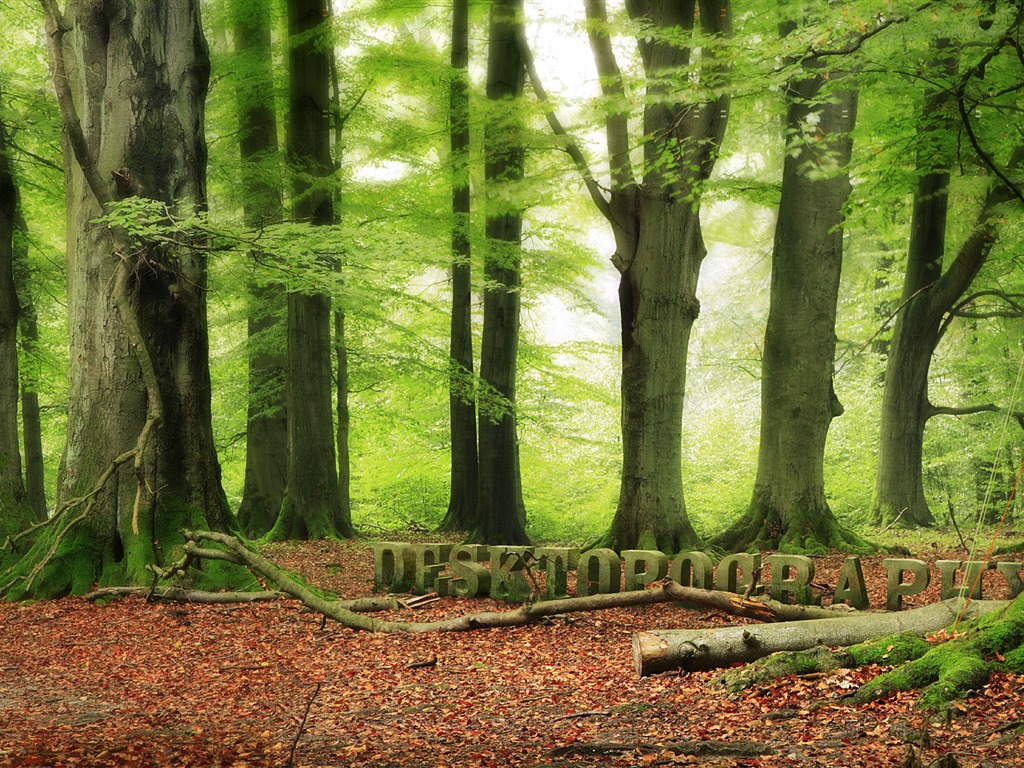 New Creative Design Wallpaper #38 - 1024x768