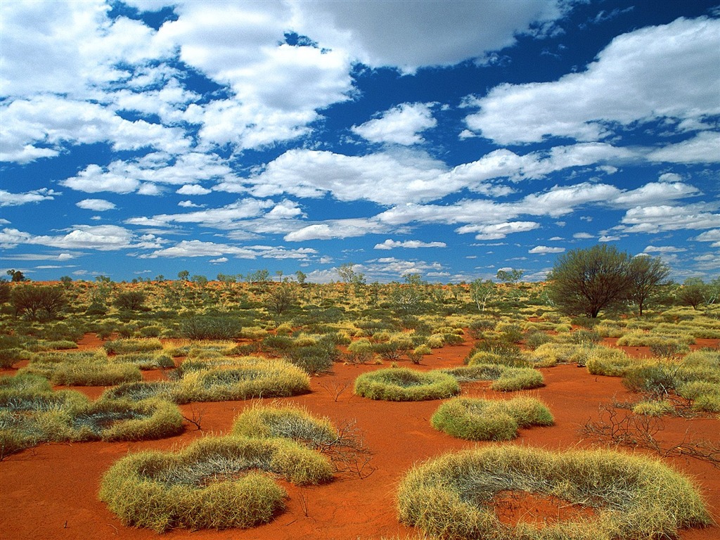 澳大利亚特色美丽风景5 - 1024x768