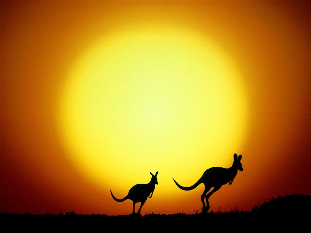 Características hermosos paisajes de Australia #18 - 1024x768