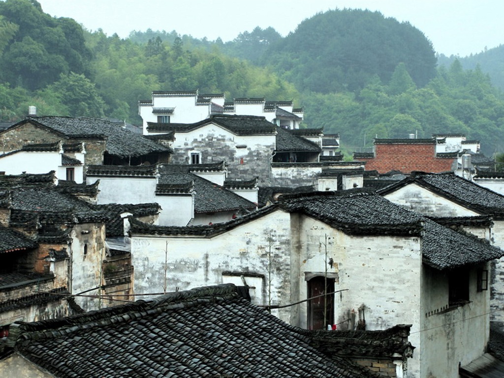 Wuyuan en la línea de la lluvia (Minghu obras Metasequoia) #1 - 1024x768