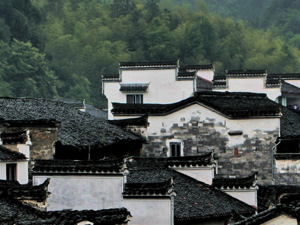 Wuyuan in the rain line (Minghu Metasequoia works) #4 - 1024x768