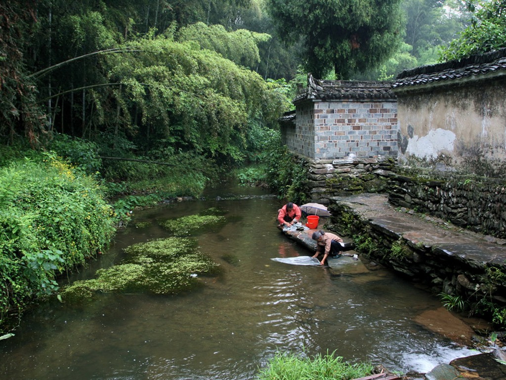 Wuyuan in the rain line (Minghu Metasequoia works) #6 - 1024x768