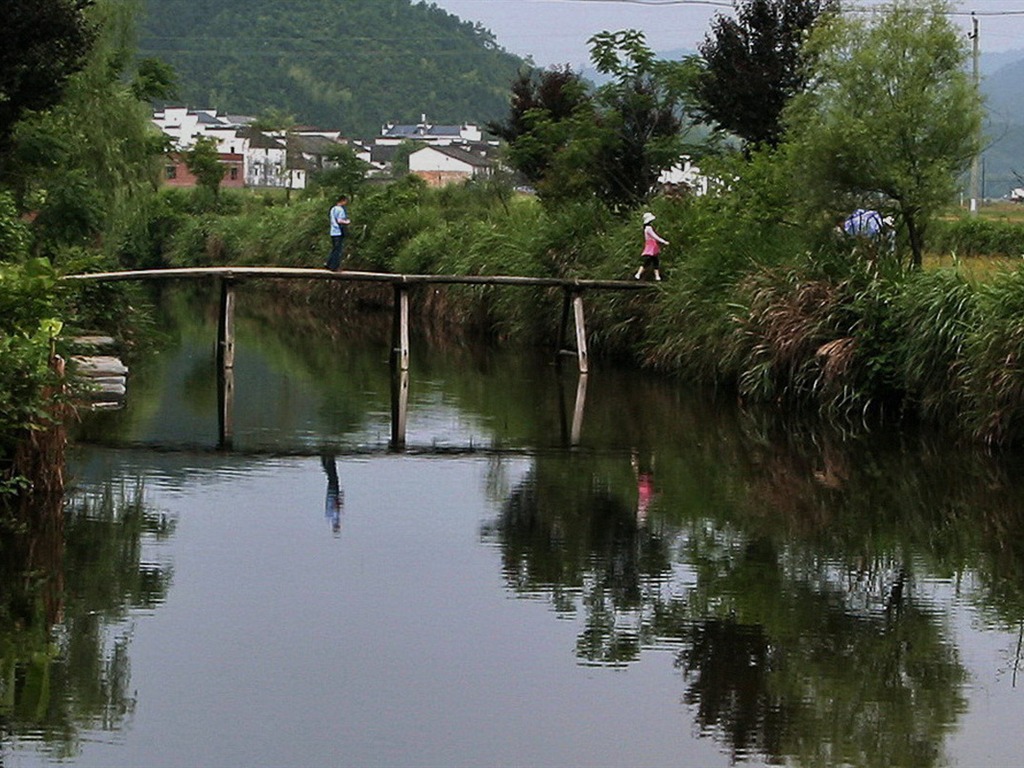 Wuyuan in the rain line (Minghu Metasequoia works) #17 - 1024x768