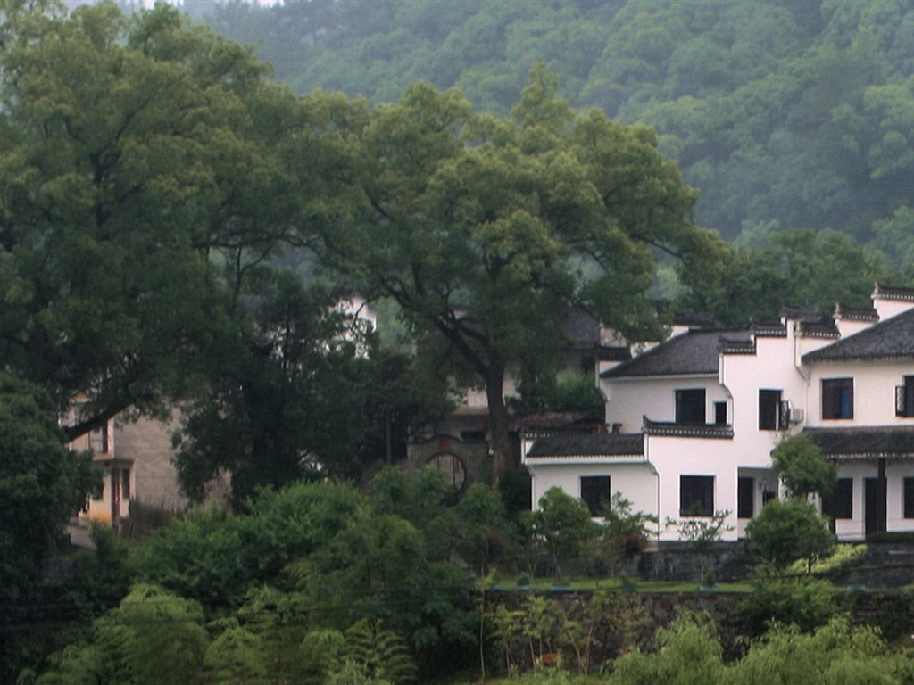 Wuyuan in the rain line (Minghu Metasequoia works) #18 - 1024x768