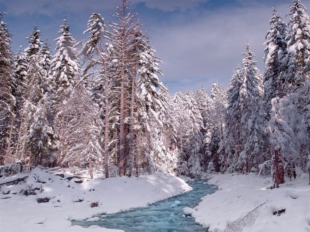 Webshots Krajina Tapety na plochu (1) #4 - 1024x768