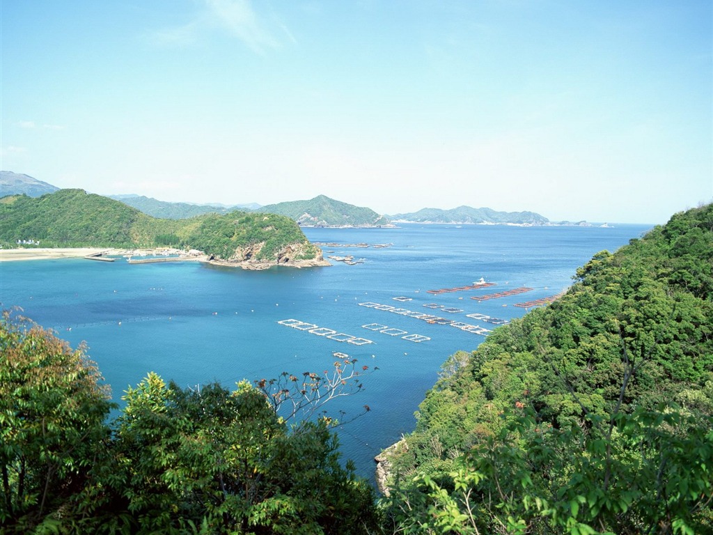 春色 自然風景壁紙 #16 - 1024x768