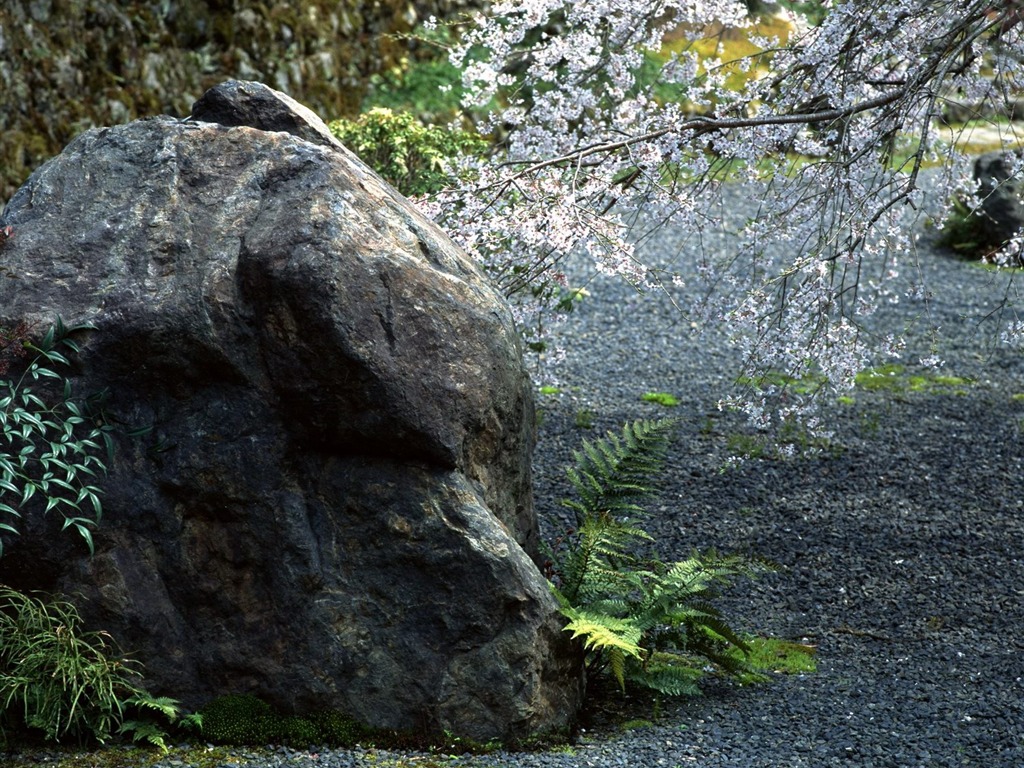 春色 自然風景壁紙 #23 - 1024x768