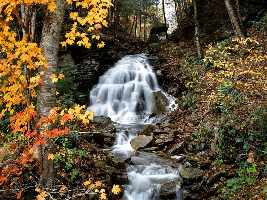 Otoño fondos de escritorio de bellos paisajes #11 - 1024x768