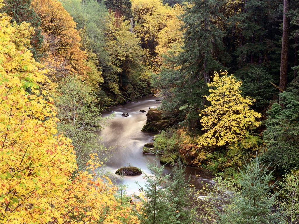 Herbstlandschaft schöne Tapete #12 - 1024x768