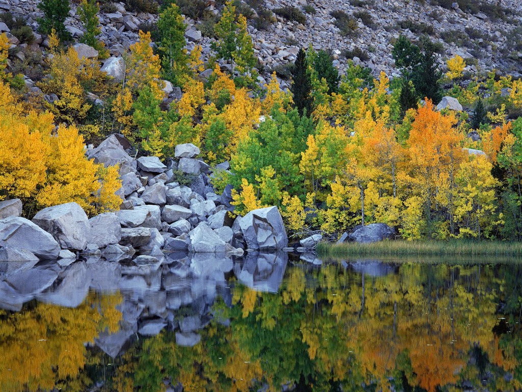 Otoño fondos de escritorio de bellos paisajes #13 - 1024x768