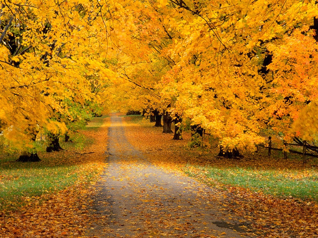 Otoño fondos de escritorio de bellos paisajes #16 - 1024x768