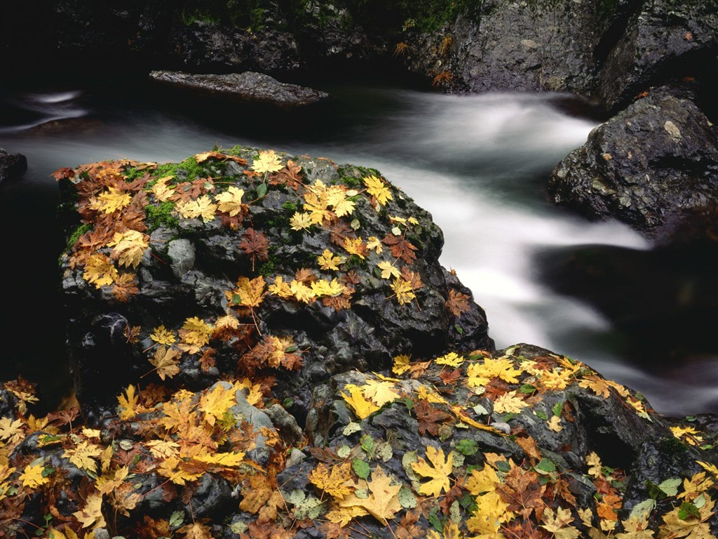 Otoño fondos de escritorio de bellos paisajes #20 - 1024x768