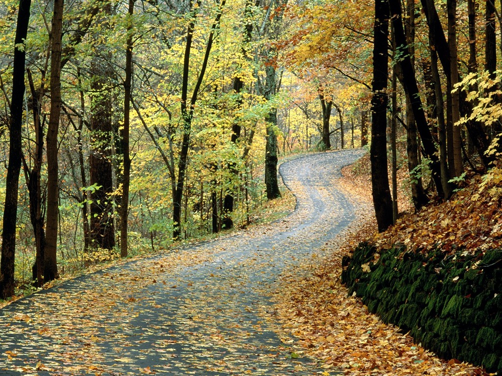 Herbstlandschaft schöne Tapete #23 - 1024x768