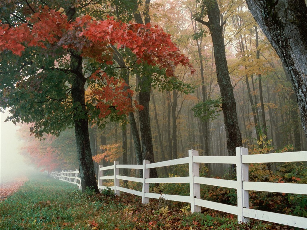 Podzimní krajina krásná tapeta #24 - 1024x768