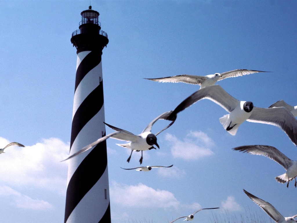 Coastal Lighthouse HD Wallpaper #35 - 1024x768