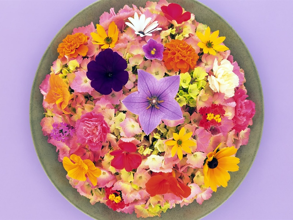 Floral feast Wallpaper #6 - 1024x768