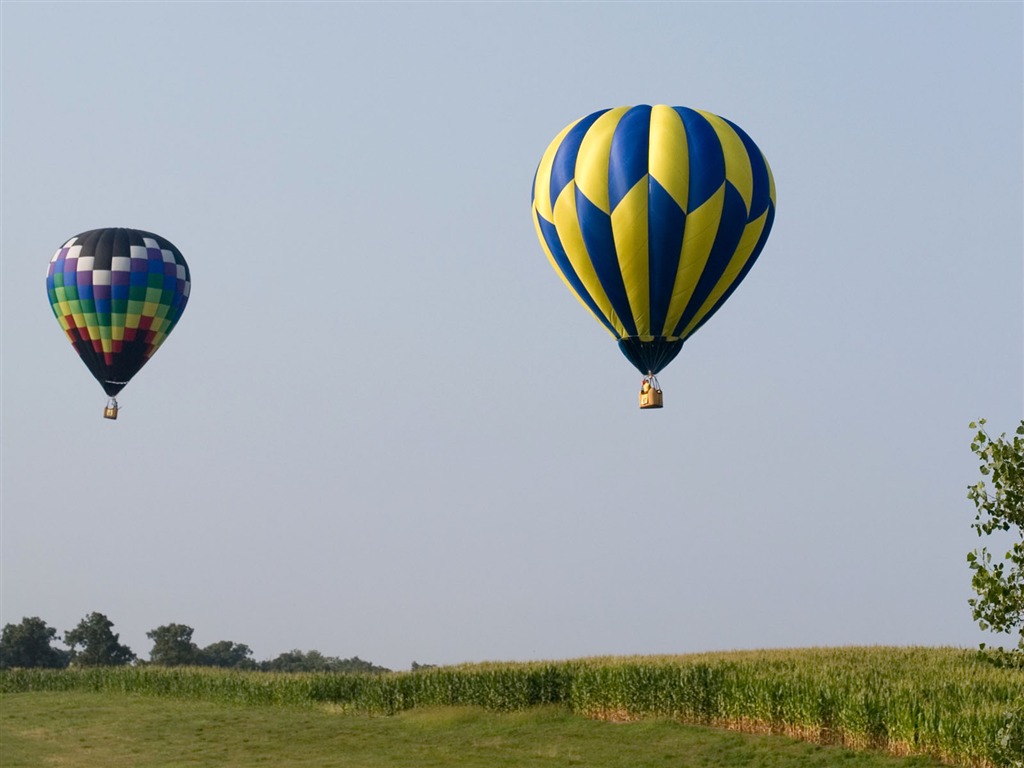 Hot air balloon wallpaper #19 - 1024x768