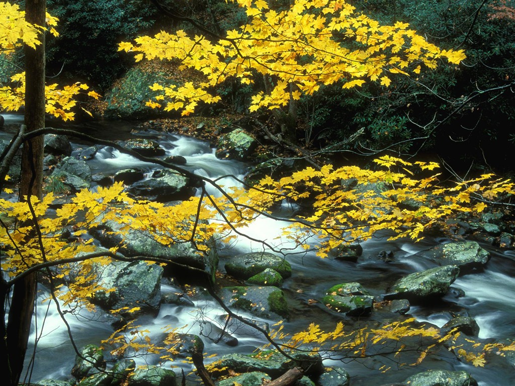 Water streams HD Wallpapers #4 - 1024x768