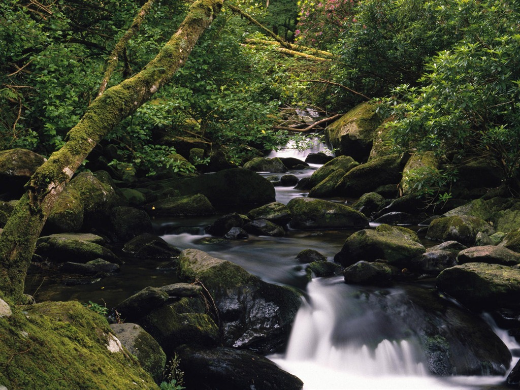 Water streams HD Wallpapers #14 - 1024x768