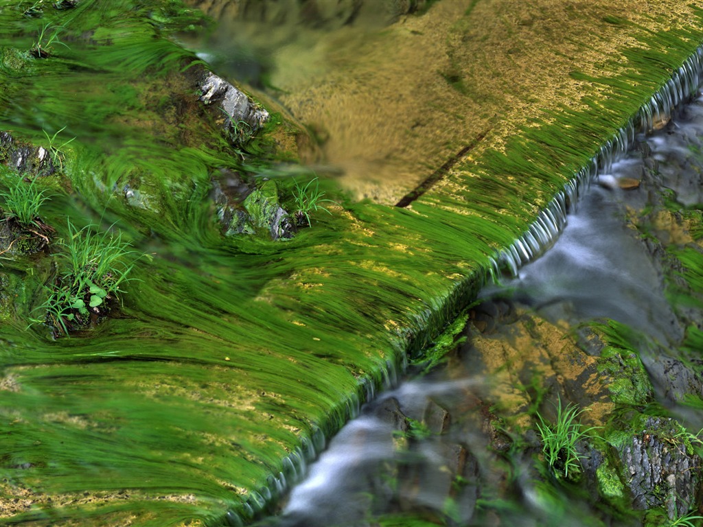 Water streams HD Wallpapers #16 - 1024x768