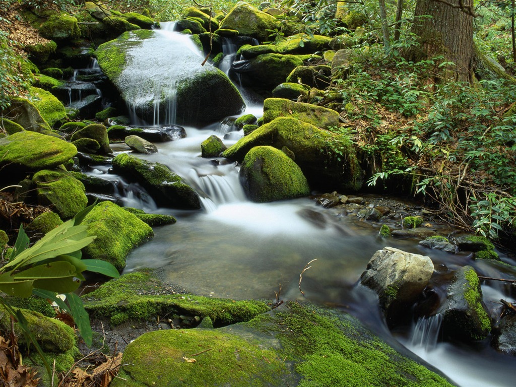Water streams HD Wallpapers #20 - 1024x768