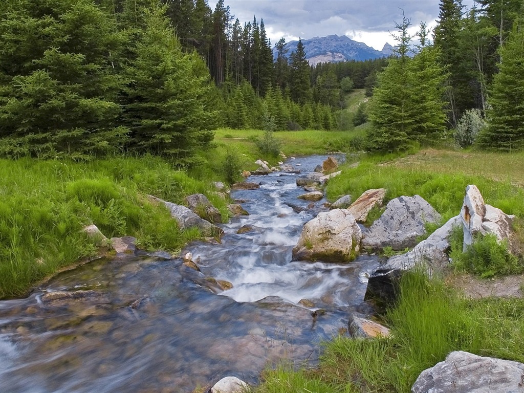 Water streams HD Wallpapers #28 - 1024x768