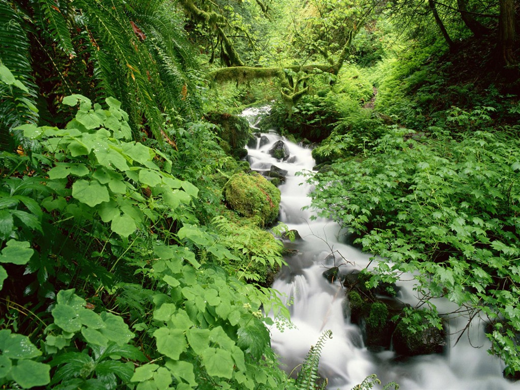 Vodní toky HD Tapety na plochu #34 - 1024x768
