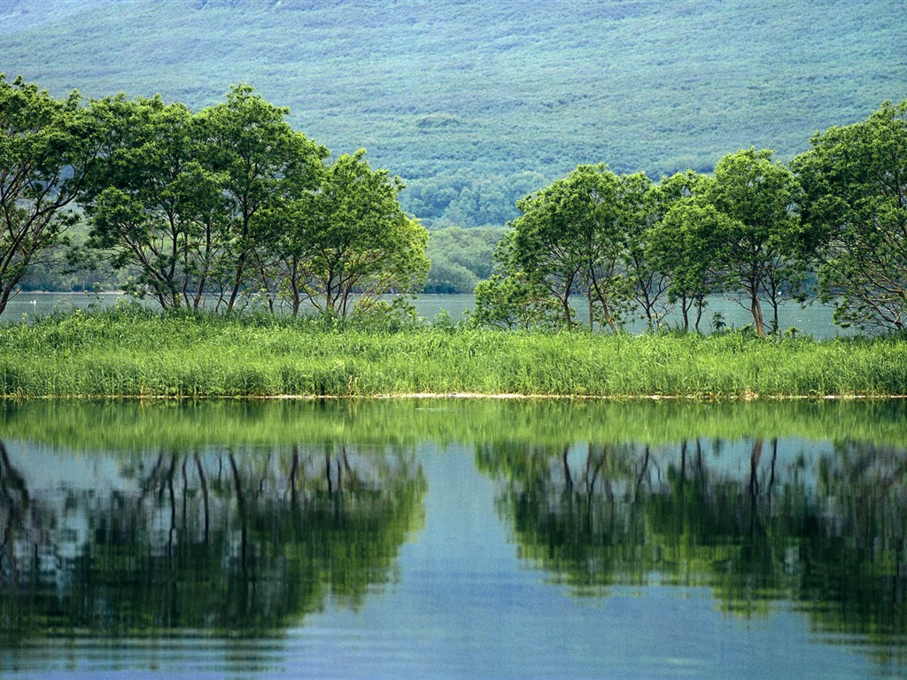 Windows7 공식 경치 벽지 #18 - 1024x768