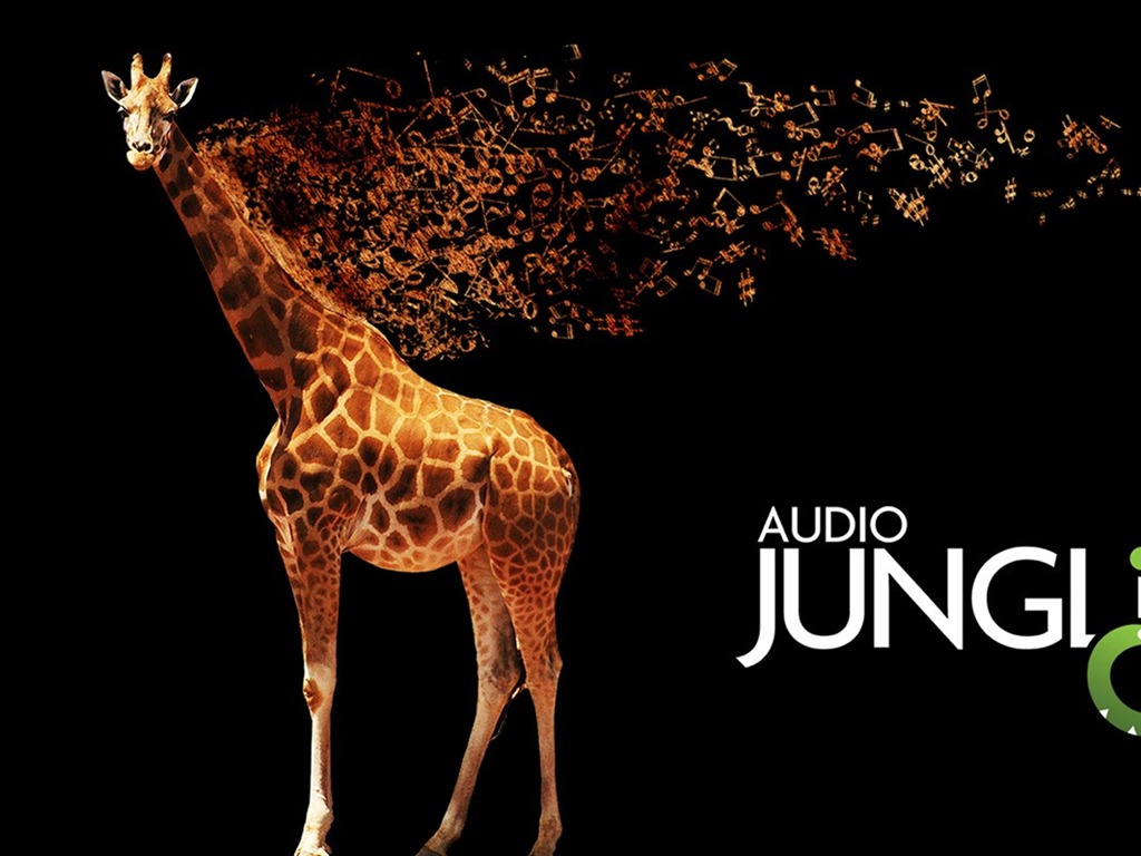 Audio Jungle diseño del papel pintado #11 - 1024x768
