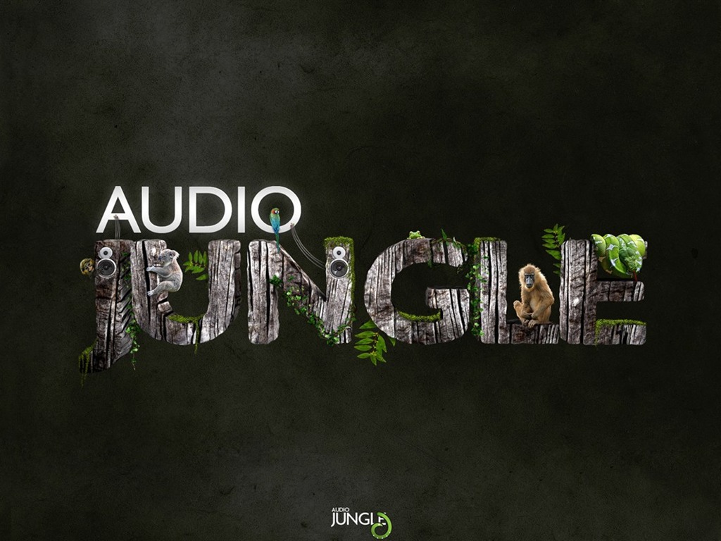 Design Audio Jungle Fond d'écran #12 - 1024x768