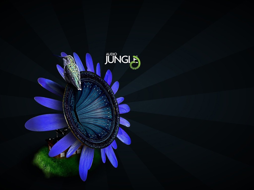 Audio Jungle設計壁紙 #14 - 1024x768