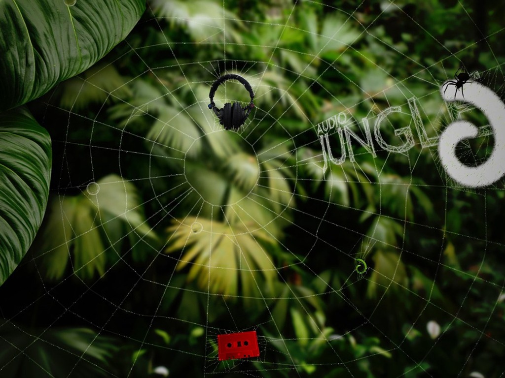 Audio Jungle設計壁紙 #17 - 1024x768