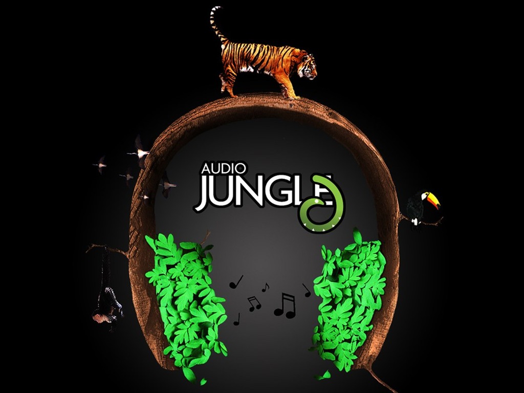 Audio Jungle設計壁紙 #18 - 1024x768