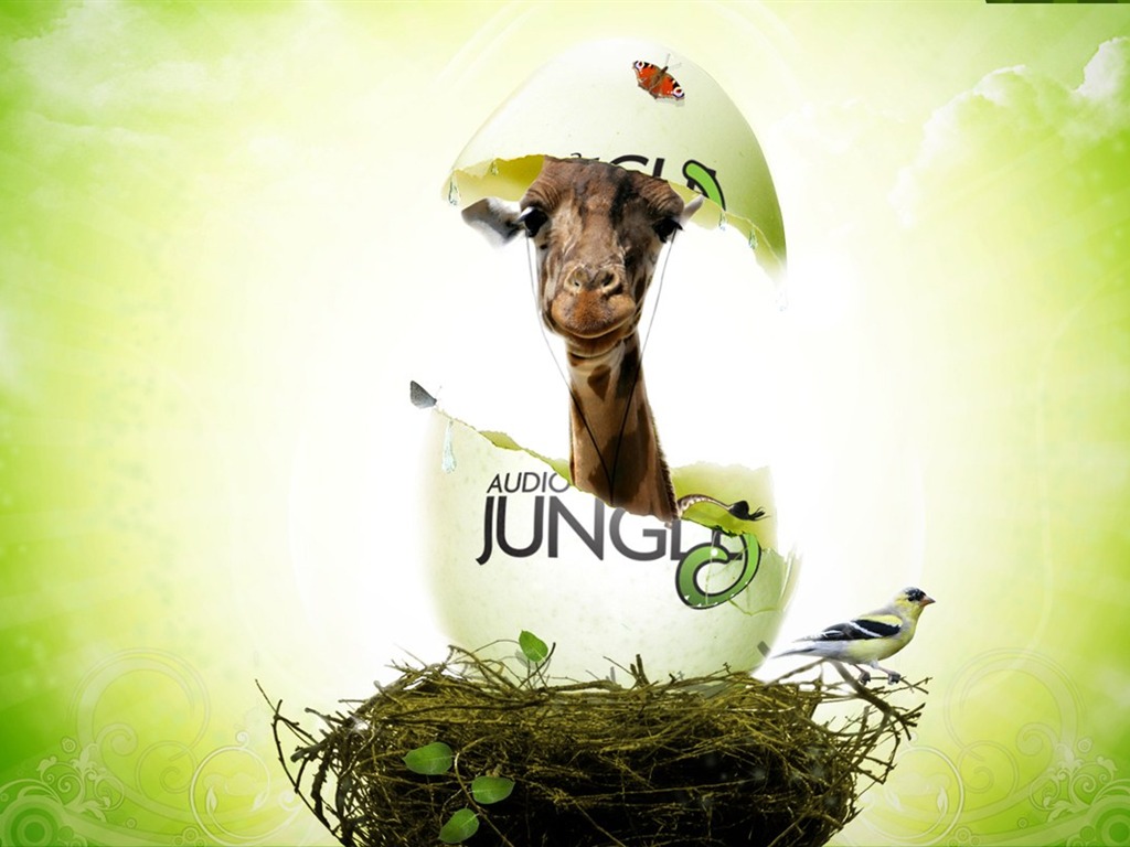 Audio Jungle設計壁紙 #20 - 1024x768